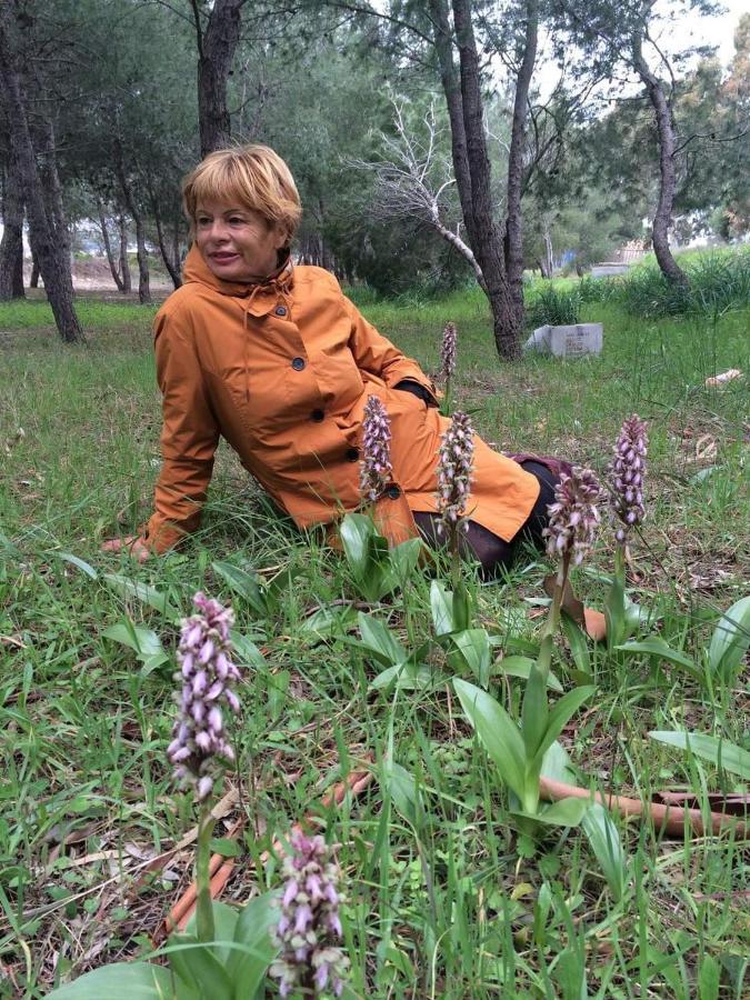 Orchidea Mattinata Parco Del Gargano 아파트 외부 사진
